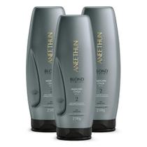 Aneethun Blond System Kit 3 Máscara Cinza 250g
