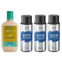 Aneethun Creme Linha A Cachos 250ml+Wess Kit Nano Sel. 250ml