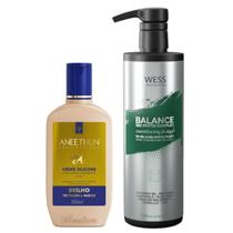 Aneethun Creme Sl. Linha A 250 ml+Wess Balance Cond. 500ml