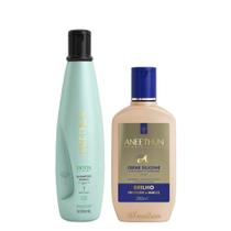 Aneethun Detox System Kit Shampoo Refresh e Creme de Silicone Brilho 250ml