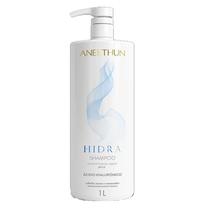 Aneethun Hidra Shampoo 1L Preenchimento Hidrolipídico Ph 5,5