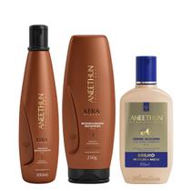 Aneethun Kera System Kit Shampoo Recondicionador e Creme de Silicone Brilho 250ml Aneethun Kera System Kit Shampoo Recondicionador e Creme de Silicone Brilho 250ml