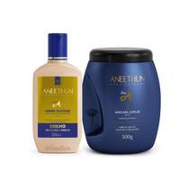 Aneethun Kit Linha A Hidratação e Brilho (2 Produtos)