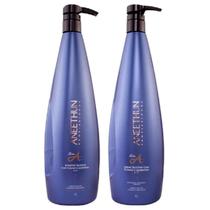 Aneethun Kit Linha A (Shampoo + Creme de Silicone) 1L
