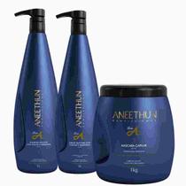 Aneethun Kit Linha A Shampoo + Creme de Silicone e Máscara 1Kg Aneethun Kit Linha A Shampoo + Creme de Silicone e Máscara 1Kg