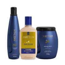 Aneethun Kit Linha A - Shampoo + Mascara + Creme silicone-