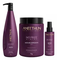 Aneethun Kit No Frizz Anti Umidade Shampoo 1 litro e Máscara 1 kilo e Leave in - 120ml