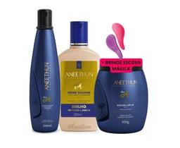 Aneethun Kit Shampoo Silicone Mascara E Finalizador Linha A e ESCOVA