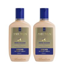 Aneethun Linha A Kit Creme de Silicone Brilho 2x250ml