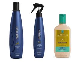 Aneethun Linha A - Kit Shampoo 300 ml + Spray Multifuncional 150ml + Creme Silicone Cachos 250 ml Aneethun Linha A - Kit Shampoo 300 ml + Spray Multifuncional 150ml + Creme Silicone Cachos 250 ml