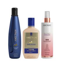 Aneethun Linha A Kit Shampoo Creme de Silicone Brilho e Blend SOS Fluído Reconstrutor 210ml Aneethun Linha A Kit Shampoo Creme de Silicone Brilho e Blend SOS Fluído Reconstrutor 210ml