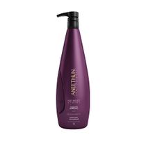 Aneethun No Frizz - Shampoo 1L Aneethun No Frizz - Shampoo 1L