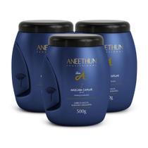 Aneethun Profissional Linha A Kit 3 Máscara Capilar 500g Aneethun Profissional Linha A Kit 3 Máscara Capilar 500g