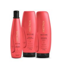 Aneethun Restore System Kit- Restauração Capilar Shampoo 300ml + Máscara 250g + Finalizador 250g