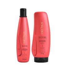 Aneethun Restore System Kit Shampoo Restaurador e Finalizador Restaurador 250g