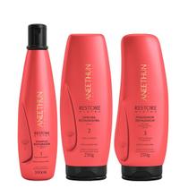 Aneethun Restore System Kit Shampoo Restaurador Máscara Restauradora e Finalizador Restaurador 250g