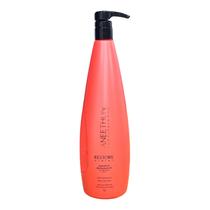 Aneethun Restore System - Shampoo Restaurador 1L Aneethun Restore System - Shampoo Restaurador 1L