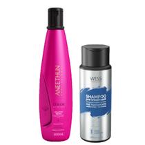 Aneethun Shampoo Color System300ml+Wess Nano Passo 1 -250ml