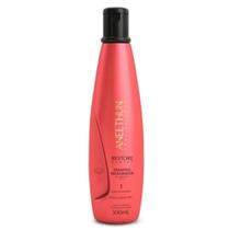 Aneethun Shampoo Restaurador Restore System Anti Danos 300ml