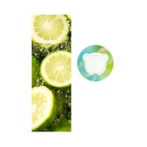 Anéis De Frutas Em Vários Sabores Em Forma De Urso Pequeno Para Copos De Água, Ferramenta De Bebida