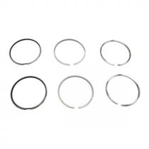 ANEIS MOTOR 0.25 (P/2CIL) para TOPIC 2.7 ANEIS MOTOR 0.25 (P/2CIL) para TOPIC 2.7