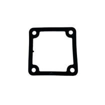 Anel Bocal De Saída para Motobomba BFG 2" Original Buffalo