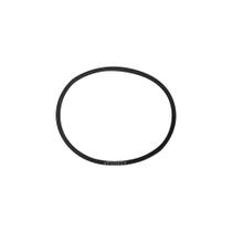 Anel Caneco Transferencia Para Iveco Stralis - 501317536