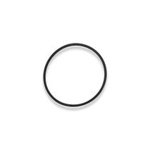 Anel Carcaça Da Válvula Termostática Para DAF XF 105 / CF85 - 1661255