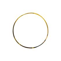 Anel Da Camisa Motor 0,10 Para Iveco Stralis - 99448192