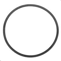 Anel Da Guarnição Do Modulo De Combustível F250 F350 1998 1999 Até 2012