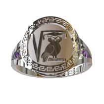 Anel De Formatura De Matemática Em Prata 950k Anel De Formatura De Matemática Em Prata 950k