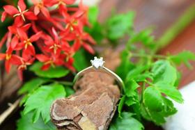 Anel de Prata Solitário