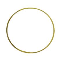 Anel De Regulagem Camisa Motor 0,14 Para Iveco Stralis - 504128651