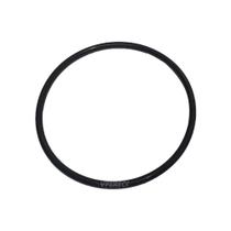 Anel De Vedação Filtro Lubrificante Para Iveco C8/C13/E3 - 2992544R Anel De Vedação Filtro Lubrificante Para Iveco C8/C13/E3 - 2992544R