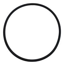 Anel De Vedação Para Ducha Lorenzetti 225 Repacar