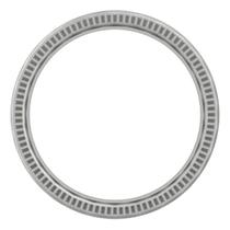 Anel Dentado p/freio ABS 100 dentes