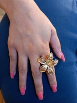 Anel Flor Coleção Anel Flor Coleção