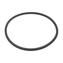 Anel Guarnição Bomba Combustível Bravo Doblo Punto Stilo