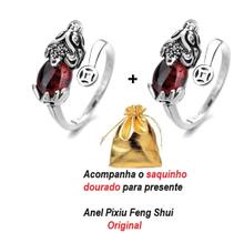 Anel kit 2 pçs vintage de prata pedra vermelha preciosas Feng Shui Pixiu Sucesso Riqueza=AE02 - Shipcom Brasil