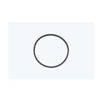 Anel O'ring - Case 239-5146 Anel O'ring - Case 239-5146