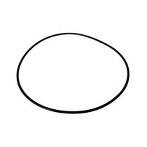 Anel O-Ring Da Tampa Para Bomba Submersível BFB 2/3" Buffalo