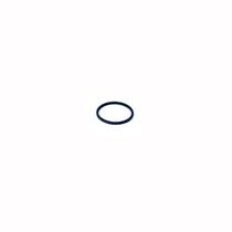 Anel Oring 12,5x1,0MM - Gnatus
