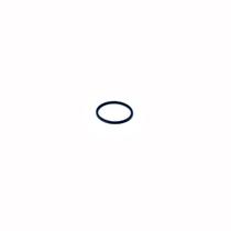 Anel Oring 12,5X1,0Mm - Gnatus