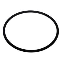 Anel Oring 56,82X2,62mm Compatível com Lavadora WAP Term G2 800