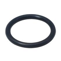Anel Oring para Lavadora IPC Pro 1600 CAPP0037