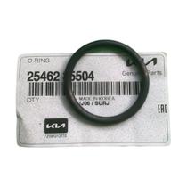 Anel Oring Tubo De Agua Hyundai Santa Fe 2010/2019 Original