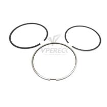 Anel Pistão Motor Para Iveco Tector - 800079220000