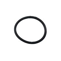 Anel Porta Rotor Da Motobomba Bfg 3 Auto Escorvante Buffalo