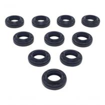 Anel Raspadorador 12 X 20 X 4/6 - Kit 10 Peças Karcher Anel Raspadorador 12 X 20 X 4/6 - Kit 10 Peças Karcher