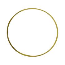 Anel Regulagem 0,08 Camisa Motor Para Iveco Cursor/Eurocargo - 98456128